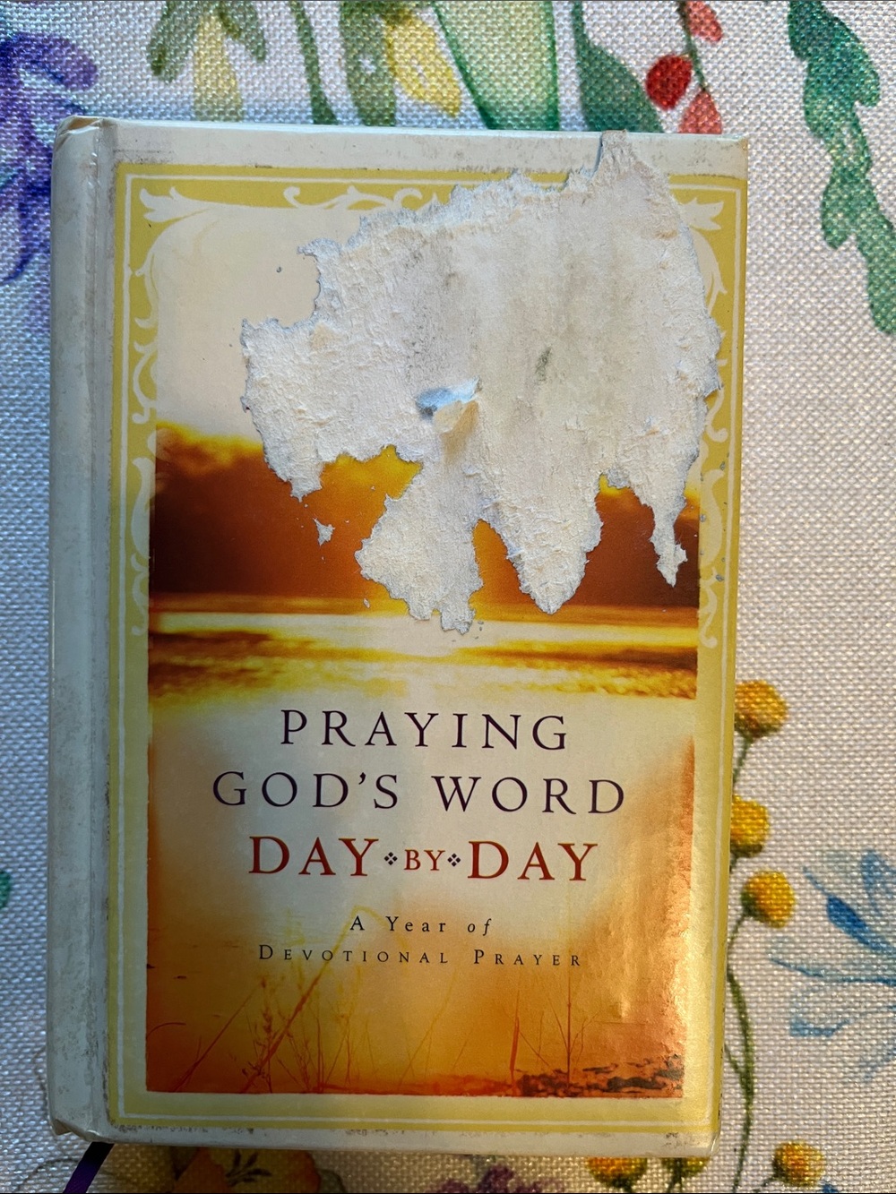 “Praying God’s Word Day by Day